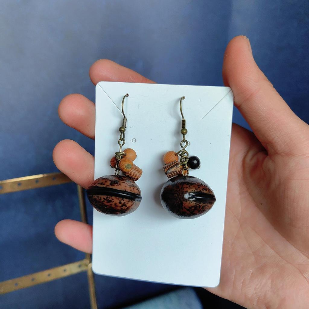 Fruit Earrings - Handmade Natural Dried Fruit Earrings, Retro Chinese Medicine Ethnic Style, for Women.