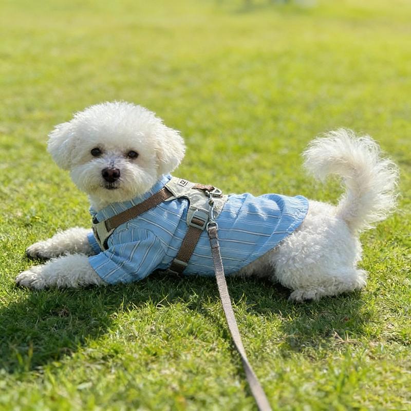 Pet Lightweight Harness Vest Harness for Small Medium Dogs Anti-Pull Puppy Walking Chest and Back For Dogs Outdoor Walking