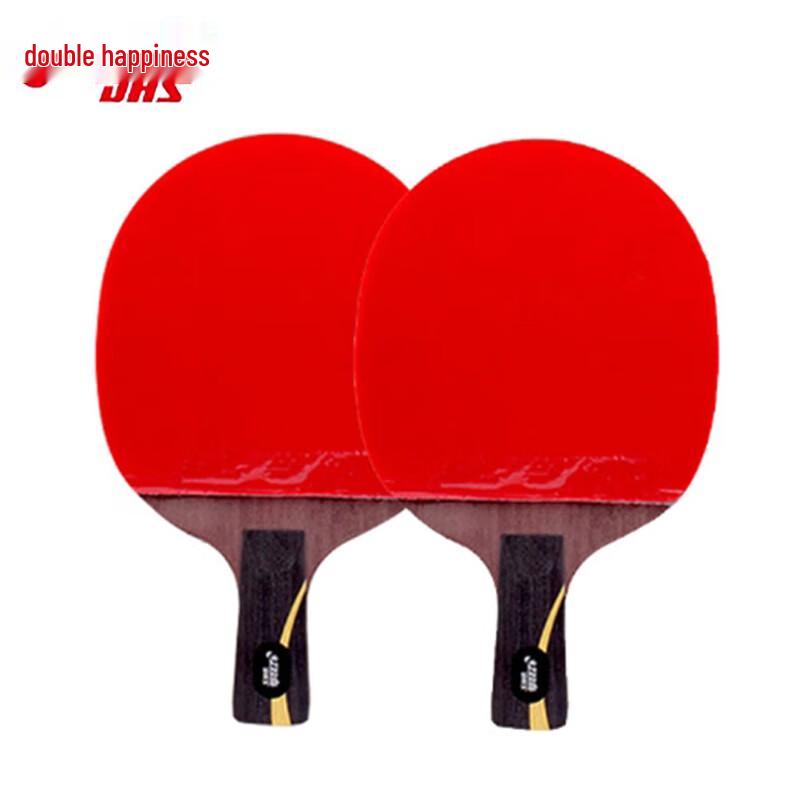 DHS Hurricane Wang Liqin Professional Table Tennis Racket Single Pack