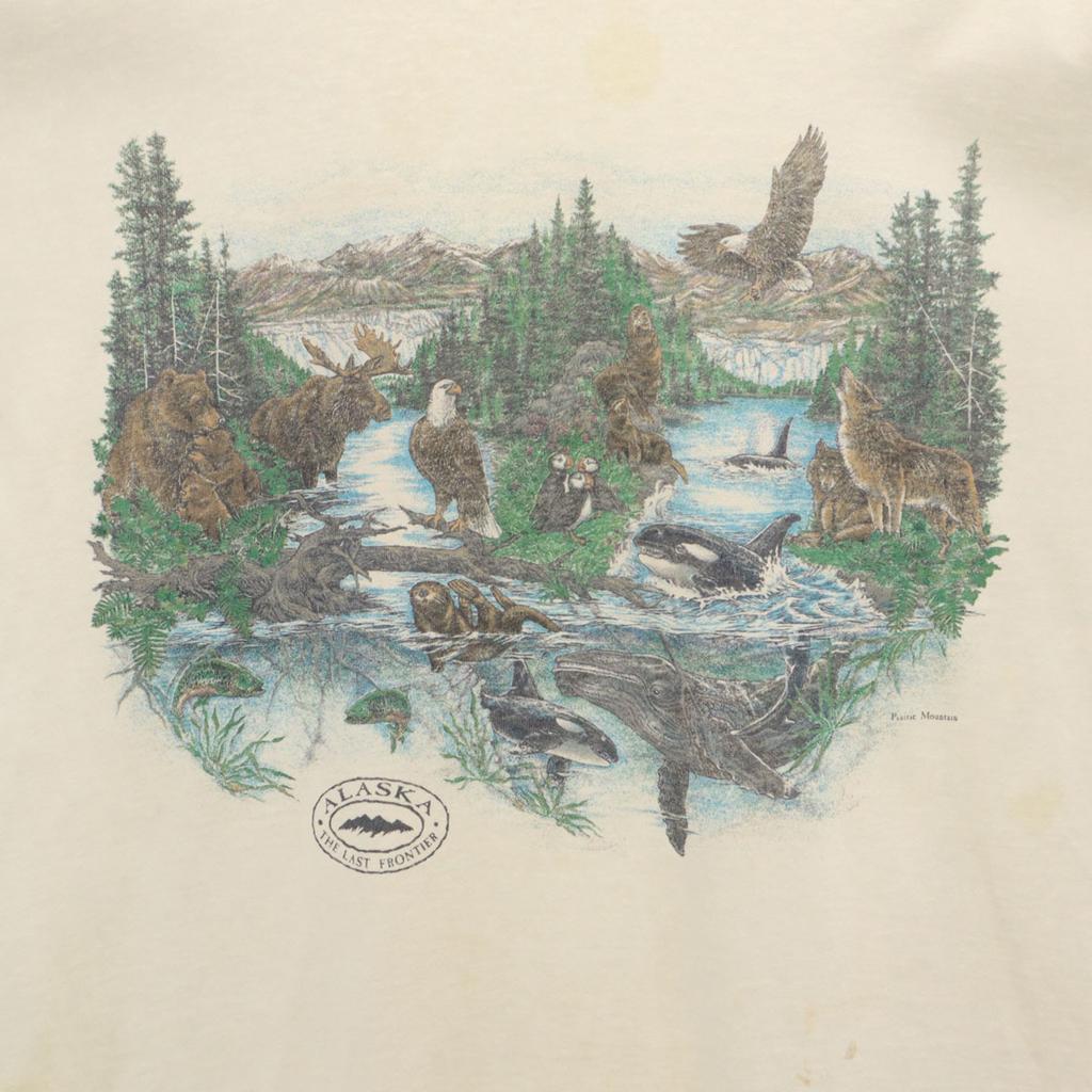 anvil 90s Old animal print Short sleeve T-shirt white Men's Used