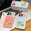 Contrasting Color Pink and Green Four-leaf Clover Seconds Change 11 for Apple 11Pro Mobile Phone Case iPhone11 Large Window 11/11 Soft
