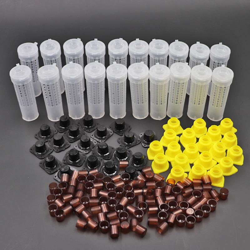 Kit di Allevamento Regina d'Api Nicot Germania Jenter Sistema di Allevamento Regina d'Api Ciotole per Cellule di Regina d'Api Gabbia per Trasferimento Larve Per Forniture per Apicoltori