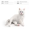 Realistic Cat Figurine Model Sitting Pose Decorative Animal Sculpture for Home Office Desk Display 5 6x5 4x4 8cm Lightweight 33g