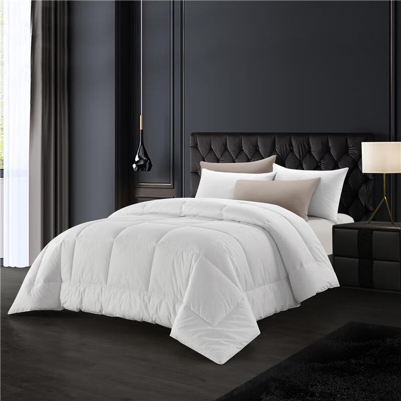 

Jiangnan Sichou Hotel Collection Brushed Duvet Insert