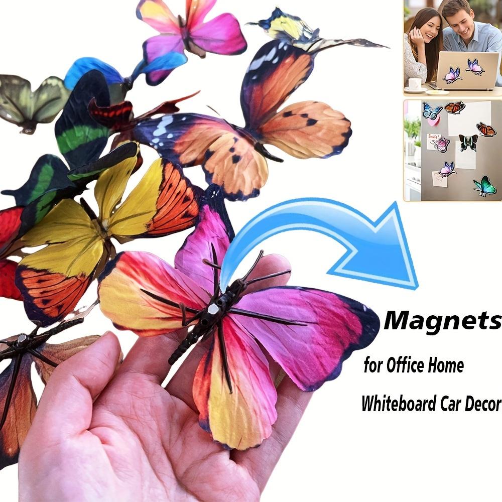 Взрывная бабочка — фото 4