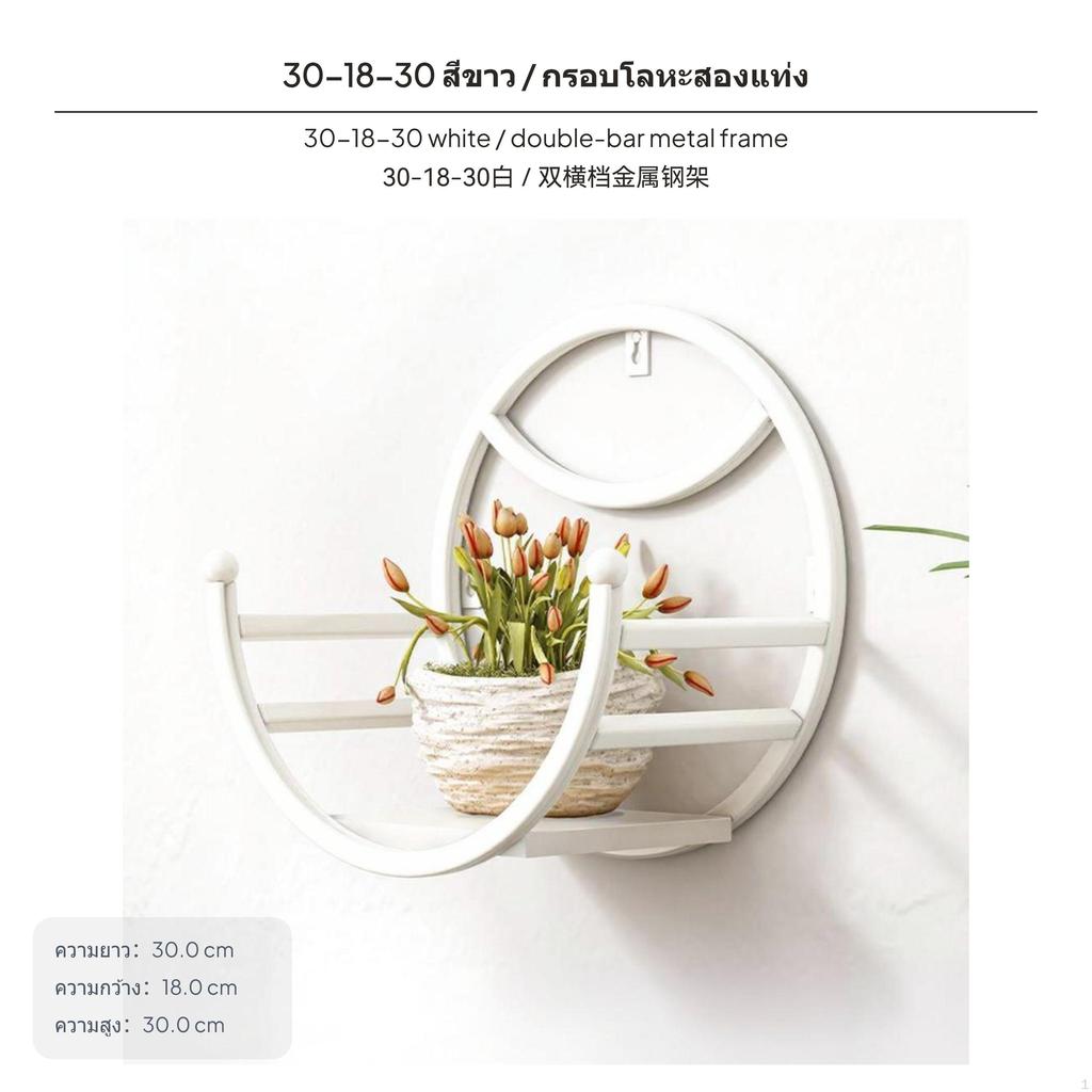 Iron Wall Mounted Planter Rack, NoDrill Hanging Flower Shelf, Art Display for Living Room Balcony,