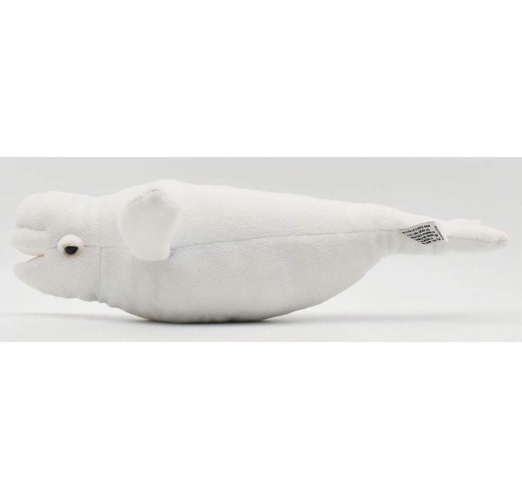 BH6626 HANSA Beluga 42