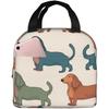 Insulated Lunch Bag Cute Dachshound Dogs Lunch Box for Women Men Reusable Leakproof Lunch Cooler Tote Bag for Picnic Work