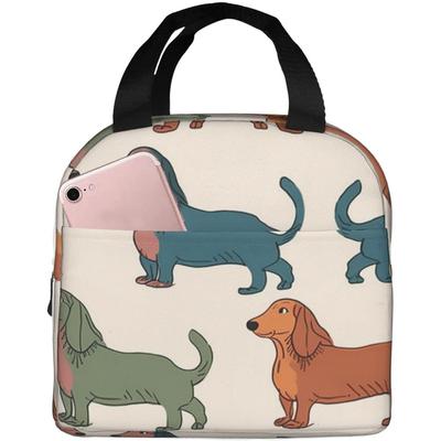 Insulated Lunch Bag Cute Dachshound Dogs Lunch Box for Women Men Reusable Leakproof Lunch Cooler Tote Bag for Picnic Work