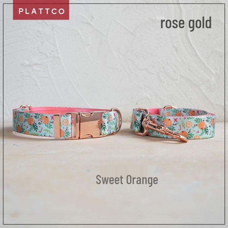 Plattco Soft Comfort Pet Dog Collar & Leash Set with Metal Buckle - PDC366 XS