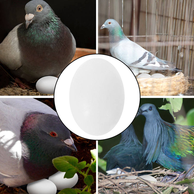 30Pcs Solid Plastic Pigeon Eggs Realistic Weight Safe Non Toxic for Egg Pigeon Breeding Aid Simulation Bird