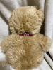 [USED] Teddy Bear Brown
