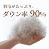 Romance Kosugi Feather Pillow (70 X 50 Cm), Fill Weight: 0.3 Kg, Beige, Made In Japan