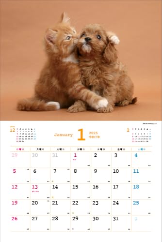 2025 Ημερολόγιο Nakayoshi Σκύλος/Γάτα <Γεμάτο χαριτωμενιά!> Κάθε μέρα είναι μια χαλαρωτική στιγμή > ([Ημερολόγιο])