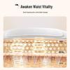 Xiaomi Mijia Smart Pulse Heat Waist Massager CN plug (adapter included)