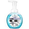Walch Antibakterielle Schaum-Handwäsche