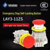 Kailan LAY3-11ZS Self-locking Push Button Switch