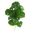 Mini Green Leaves Wall Hanging: Potted Pothos Monstera Planter for Decorative Flower Arrangements and Landscaping