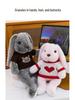 Plush Rabbit Doll - Comforting Toy for Kids, Hand-held Baby Sleep Aid, Perfect Birthday Gift for Children