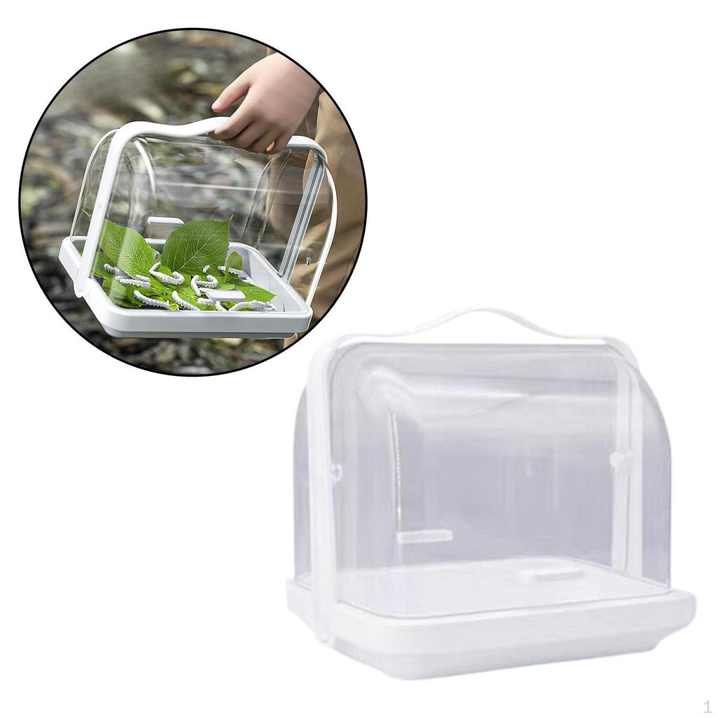 Silkworm Breeding Box Habitat Cage Breathable Pet Supplies Easy To Observe Carry Handle Reptile
