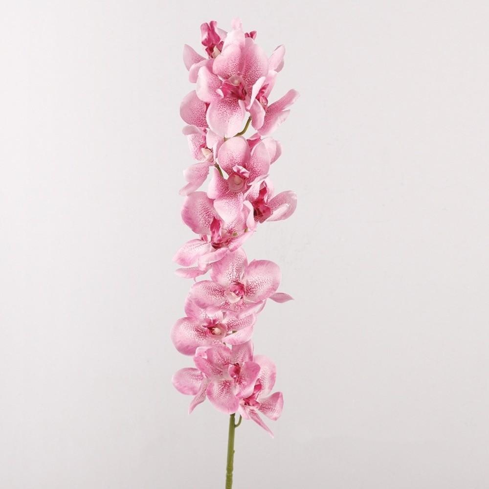 Handmade Artificial Vanda Orchid Flower Butterfly Orchid Faux Phalaenopsis  Home Living Room
