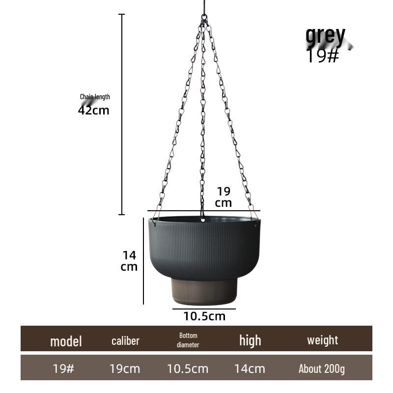 Large Self-Watering Hanging Basket for Trailing and Succulent Plants