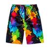 Men's Swim Trunks Quick Dry Beach Surfing Running Swimming Drawstring Shorts