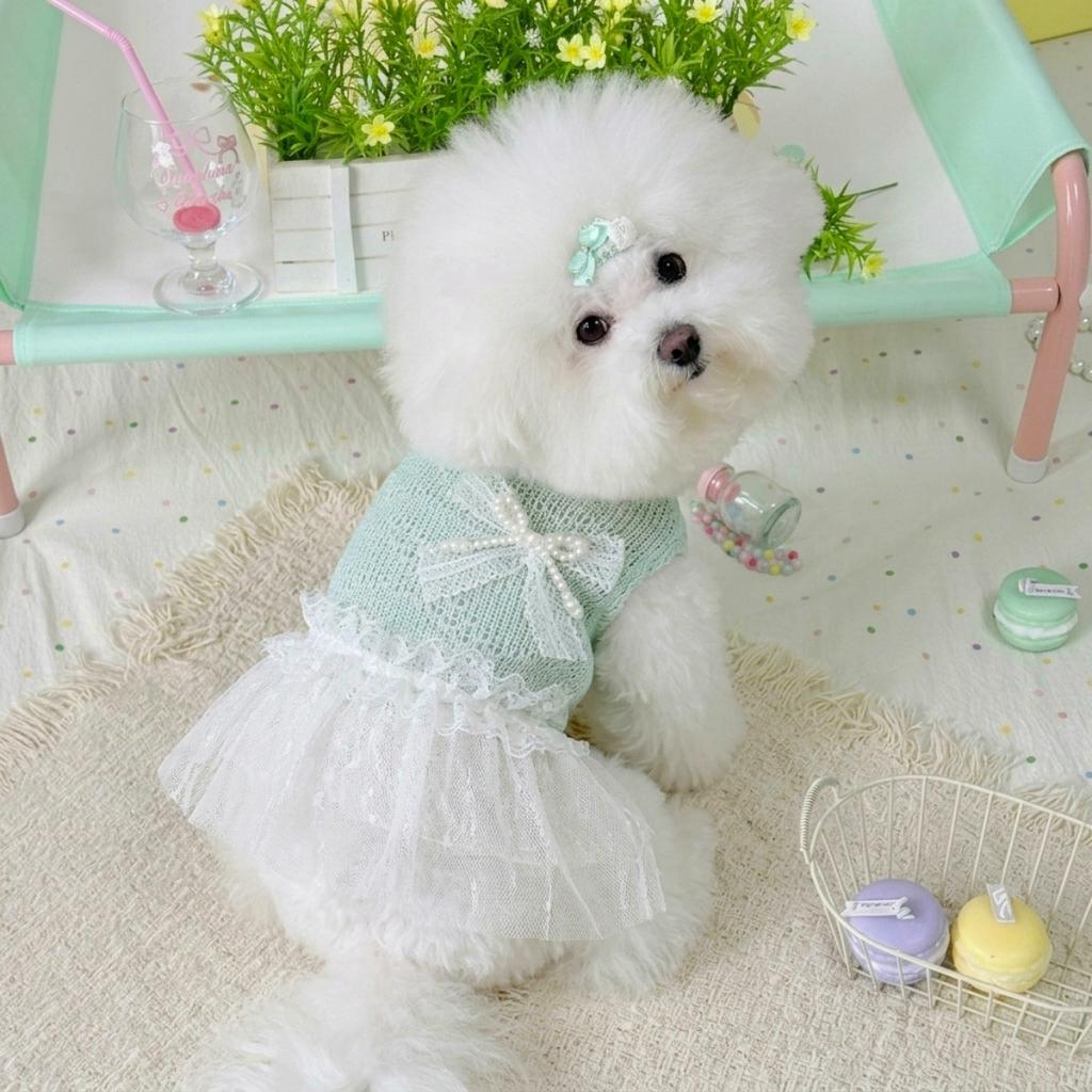 Spring and Summer New Style Pet Cat and Dog Clothes Sweet Teddy Bear-style Dress