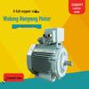 Wolong IE5 Dreiphasen-Niederspannungs-Super-Effizienz-Asynchronmotor mit Vollkupferwicklung