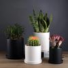 1pc Nordic Style Black and White Matt Ceramic Succulent Orchid Pot With Tray Planter Holder  Flower Pot Hole In the Bottom