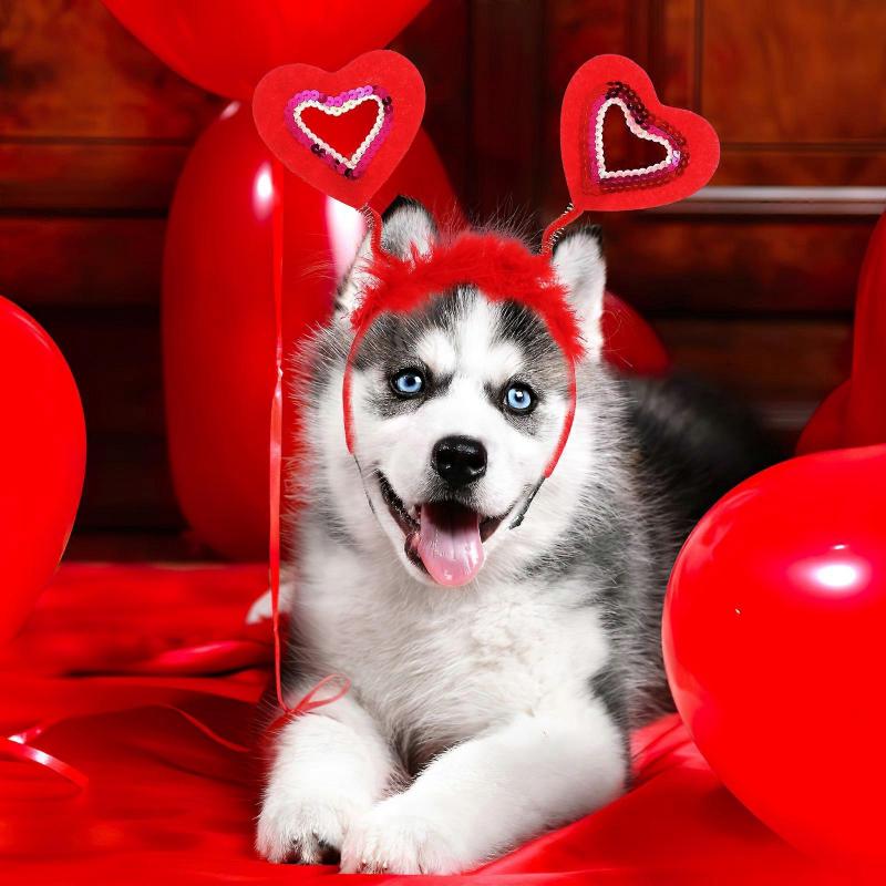 Hair for Pet Red Heart Shaped Dog Hair Band for Party 6Pcs Set