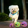 Palline Giocattolo per Cani Gattino Palla di Gomma Cinguettante ChirpSounds Palline Rimbalzanti Stridenti Giocattolo per Gattino Cucciolo Cani Palla Spinosa da Masticare