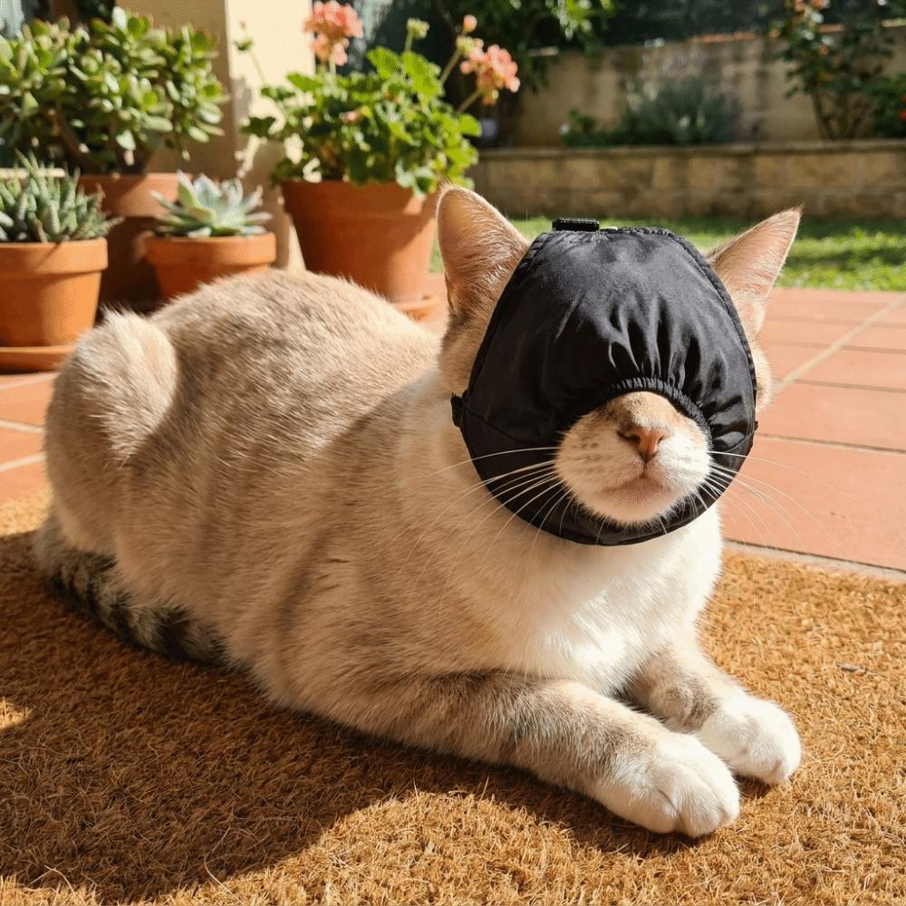 Breathable Cat Shade Hood Adjustable Cat Calming Eye Mask Dog Motion Sickness Hood  Car Travel