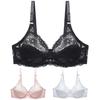 Women's Underwear Sexy Lace Push Up Bra Plus Size Brassiere