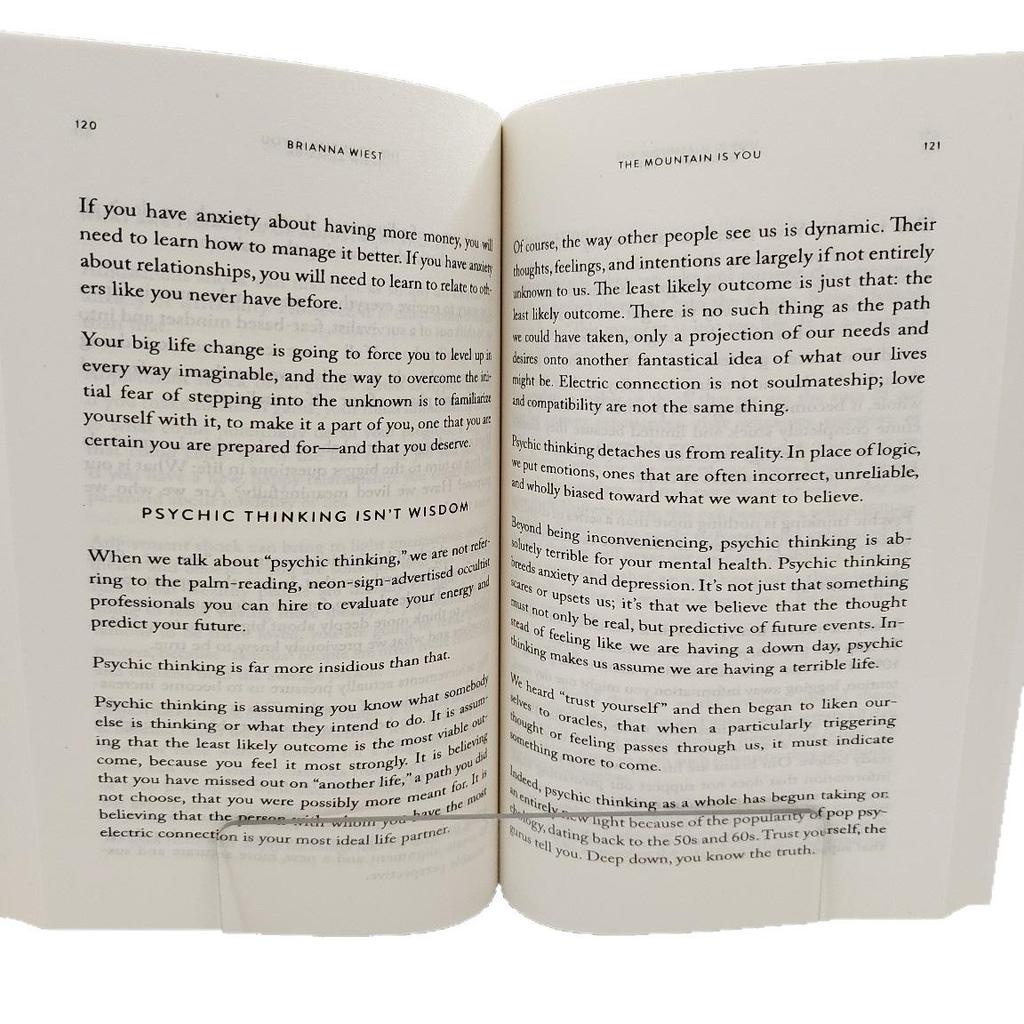 The Mountain Is You: Self-Transformation Bulk Discount