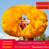 Cheerleading – Pompons