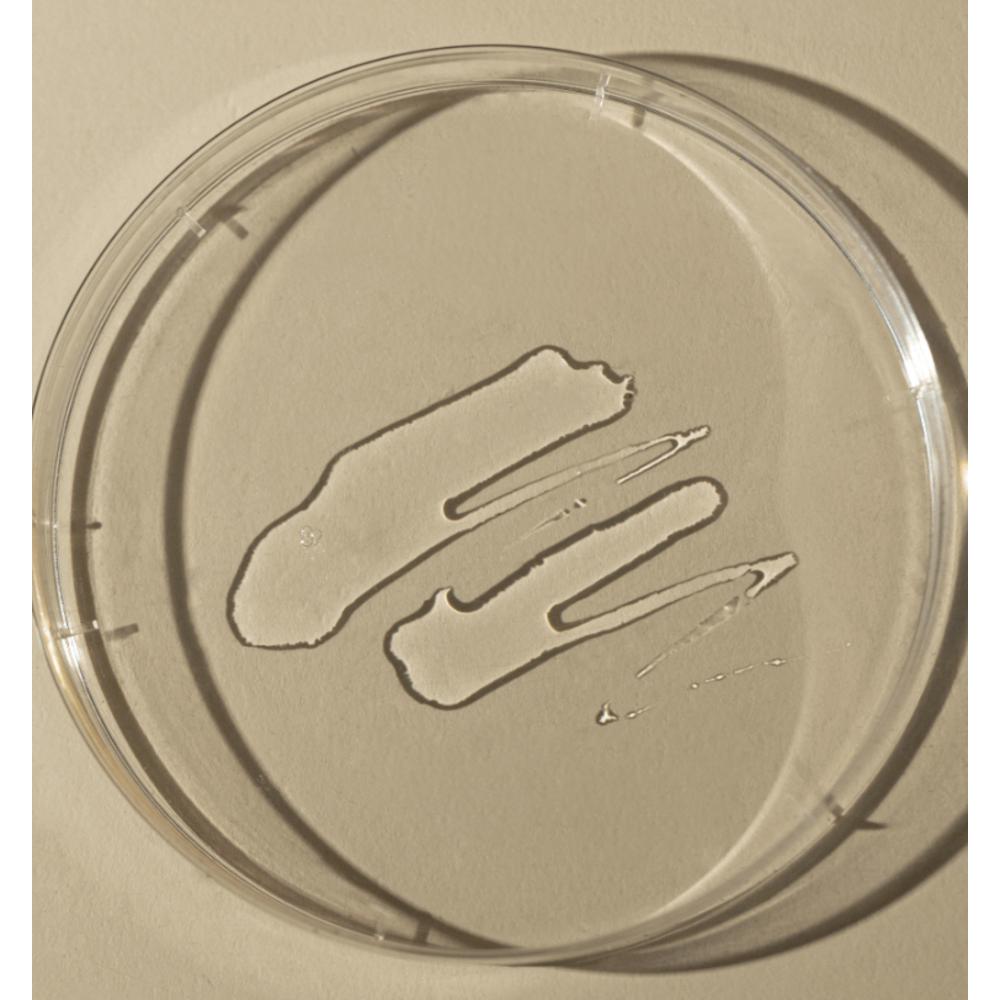 TOUN28 Propolis Vitamin C B3 B5 B6 Balancer Toner, 250ml, 1 Unit