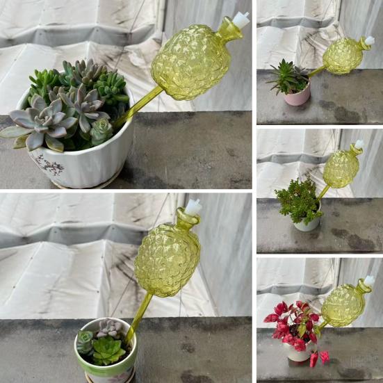 Yousheng Pineapple Shape Self Watering Planter Insert Clear Plant Watering Bulbs Automatic Drip Irrigation Device for Indoor Outdoor Plants