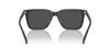 Sunglasses HC8385U CL910 TRANSPARENT DARK GRAY 54 [Coach]