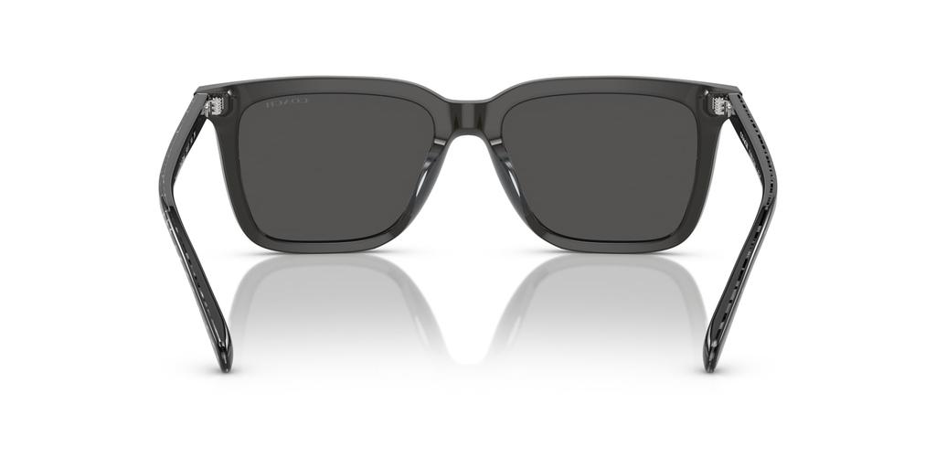 Sunglasses HC8385U CL910 TRANSPARENT DARK GRAY 54 [Coach]