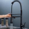TLXT Kitchen Pull-Out Faucet
