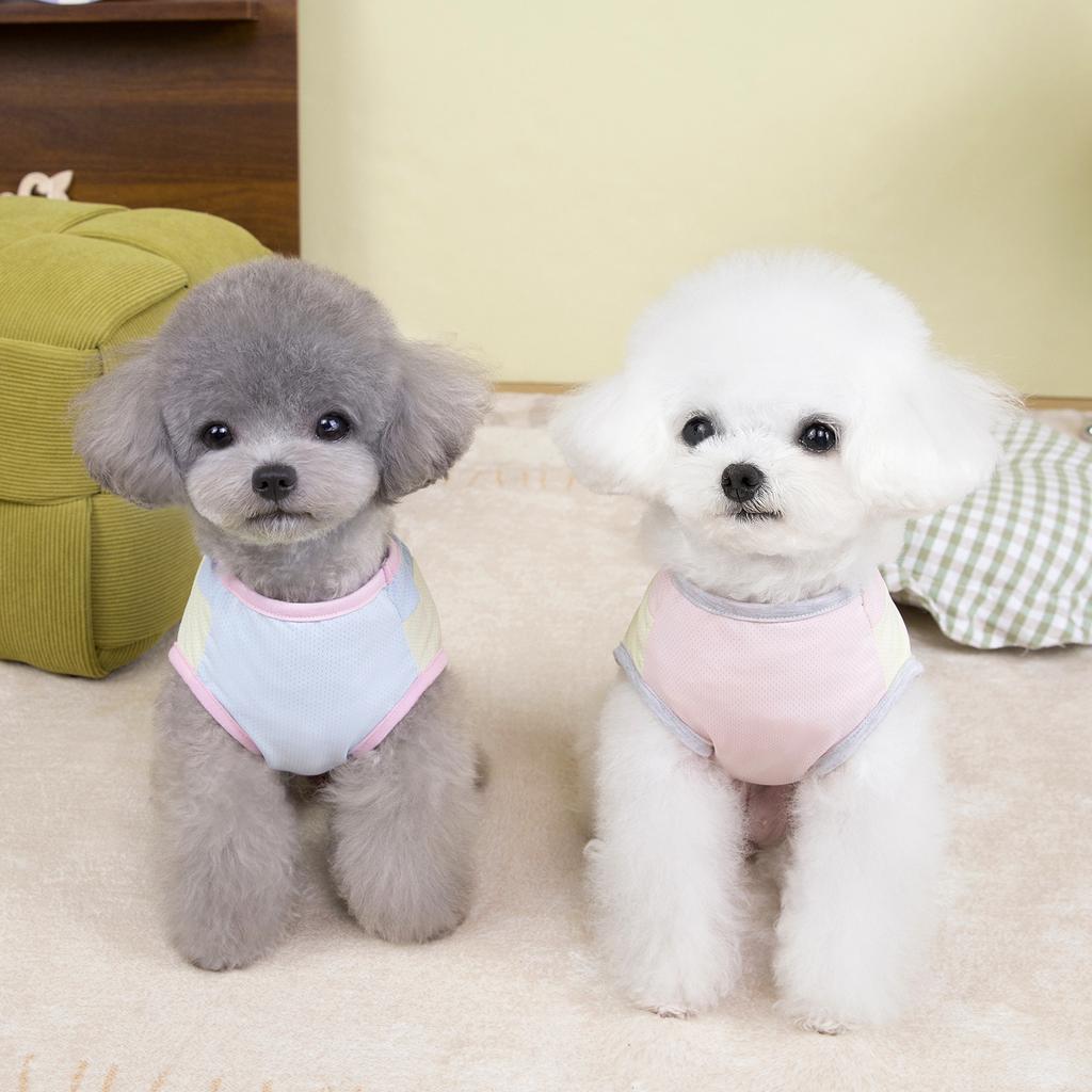 Summer Thin Belly Traction Vest Small Dog Bigbear Teddy Light and Breathable Going Out Pet Dog Dog Clothes