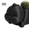 Dinosaur Succulents Planter 3D Printed Shaped Pot, Cute for Small Cactus Pot Mini Plants, Decorative Desktop Flower Unique Gardening Gift