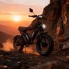 YVY Q20 PRO Elektrische Fiets DUBBELE MOTOR 2000W – DUBBELE BATTERIJ 52V 40Ah – Actieradius 200km – Snelheid 50km/u – Banden 20x4.0