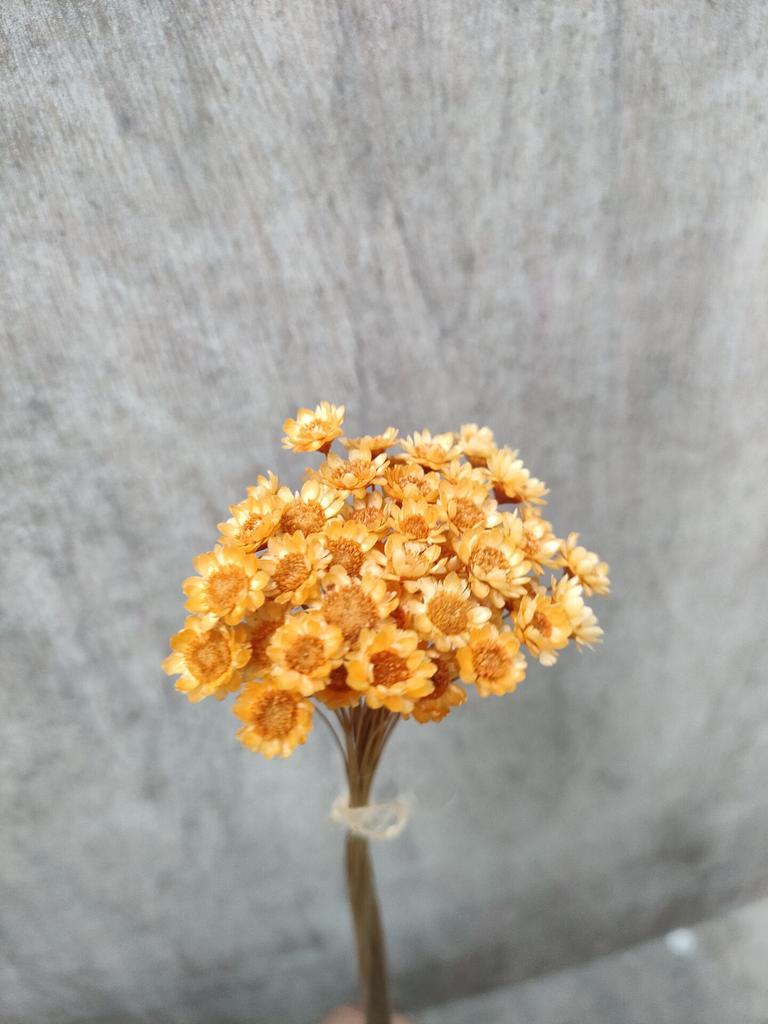 Dry Flower Wedding Party Essential Decorations For Home Home Décor Accents DIY-friendly Pressed Flowers For Party Floral