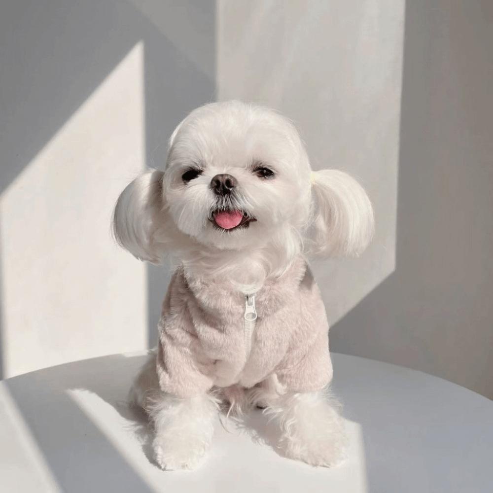 

Ins Style Rabbit Fur Dog Warm Coat Soft Comfortable Pet Plush Jackets Thickened Dog Costume Walking XS