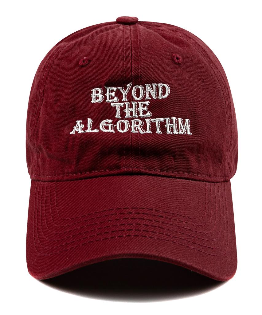 Wig Algorithm Washed Ball Cap - Burgundy