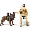 Pet Dog Belt Pet for GoPro Camera Gimbal Camera GoPro Dog Mount Harness Adjustable for GoPro Hero Session Large 6/5/5 Session/4 (For Dogs)
