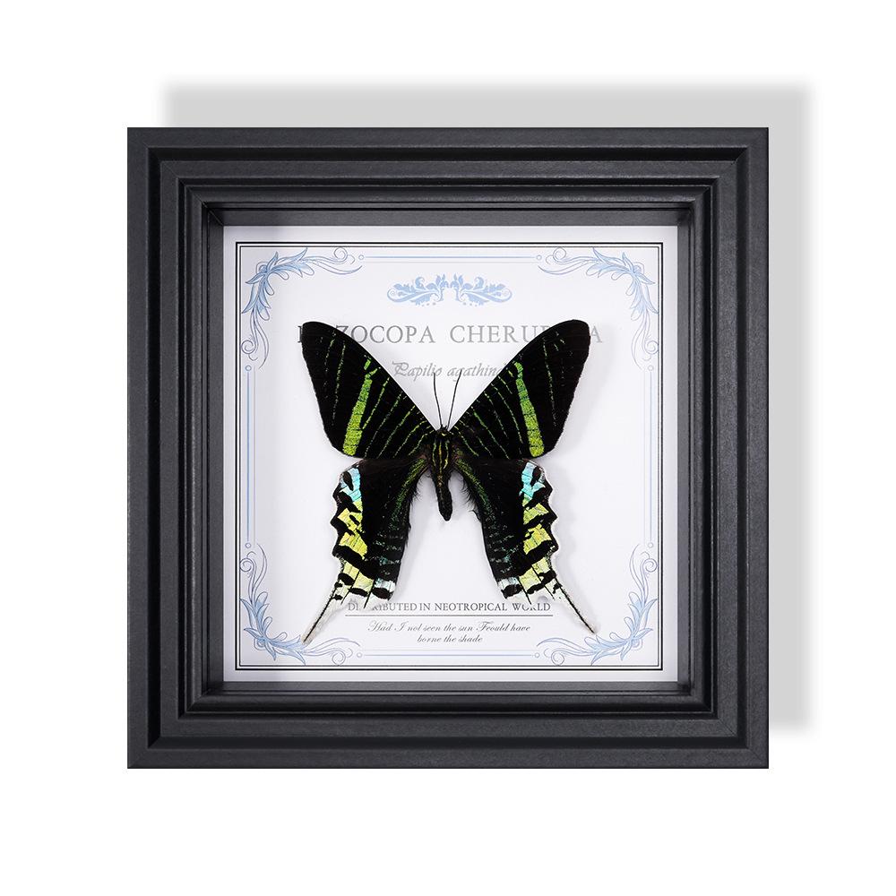 Wall-Mounted Butterfly Specimen Photo Frame: Home Decor & Gift for Valentine's Day, Qixi, Birthday, Couples & Insect Lovers