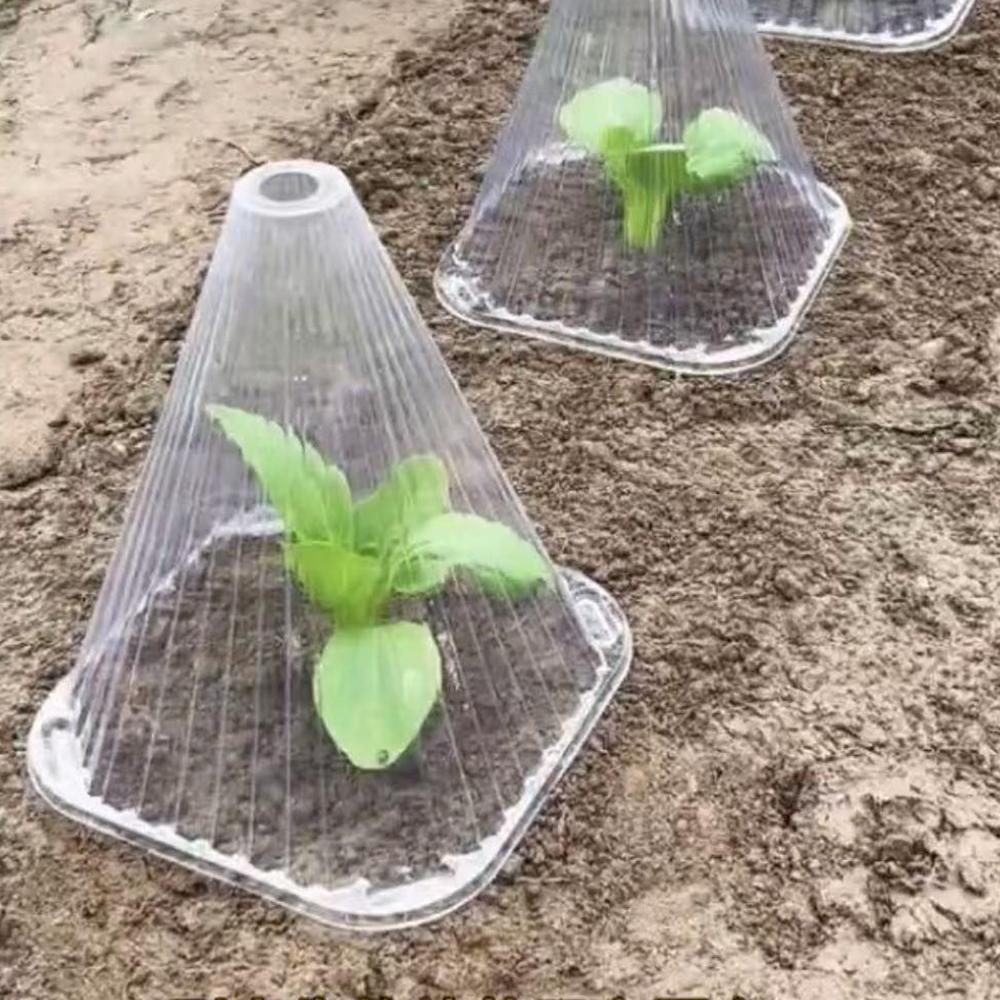 D5 20Pcs Garden Plant Cloches Cover Reusable Square Plant Growth Sunscreen Seedling Cover Greenhouse Plant Protection Cover